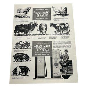 Vintage 1948 Ethyl Gas Print Ad Trademark Antiknock Gasoline Pigs Cows